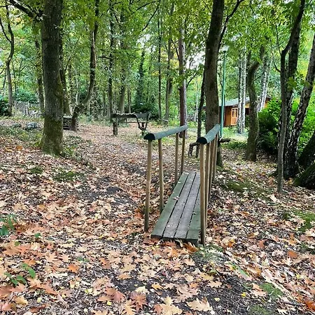 Pipowagen De Kat In De Hoge Kempen Nabij Maastricht 라나켄